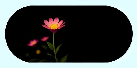 flowers on dark backgrounds