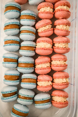 Pink and blue macaroons lie in a container