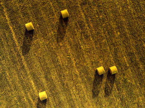 Aerial view of hay rolls in a green pasture at twilight, Kenansville, Florida.