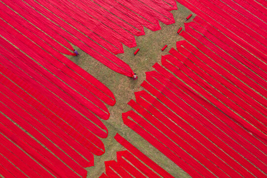 Aerial view of people working with red cloth drying lines at textile factory, Narsingdi, Bangladesh.