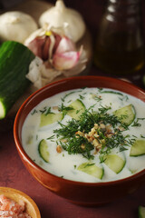 A bowl with Tarator cold soup - traditional Bulgarian dish