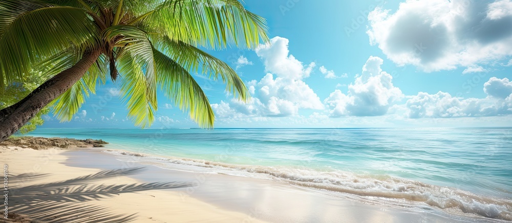Poster tropical beach with coconut palm. with copy space image. Place for adding text or design