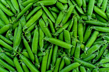Background from pods of fresh green peas. Natural food products, veganism, nutritionist