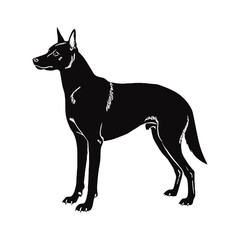 Obraz premium Dog Silhouette