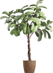 Side view of potted houseplant