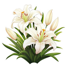 spring lilies