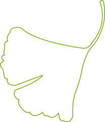 Cartoon line ginkgo biloba leaf silhouette icon isolated on transparent background. Nature eco green vector. Leaflet organic leaves cosmetics and medical plant icon