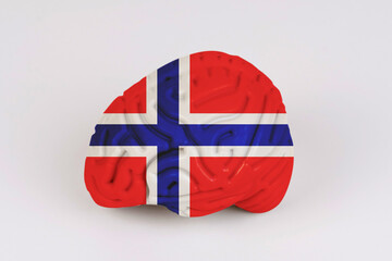 On a white background, a model of the brain with a picture of a flag - Norway