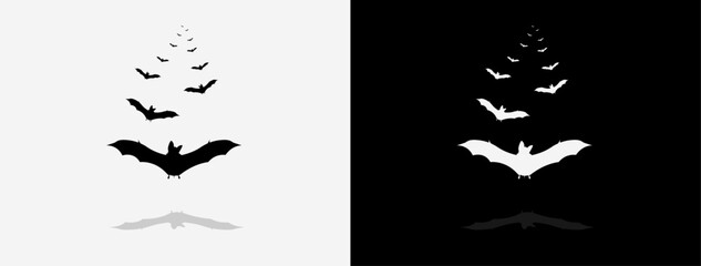 Bat stages landing on the ground.White and black background.