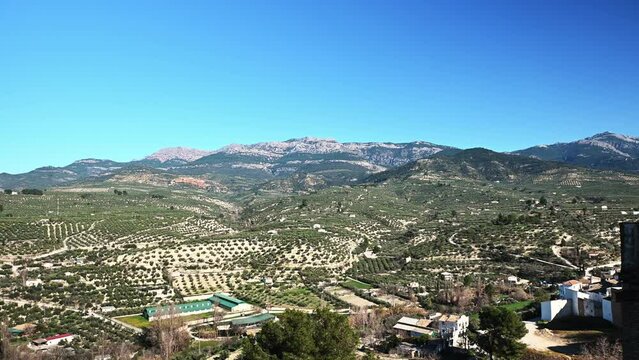Nature background. View of a mountain valley with growing olive trees in Quesada, against blue sky background. Jaen. Andalusia. Spain
