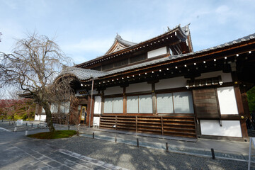 秋の青龍殿　庭園の紅葉　京都市,山科区