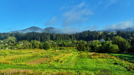 Autumn Beginnings in the Mountains