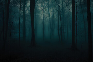 dark foggy forest with trees under low lighting 