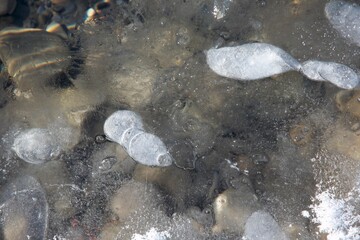 frozen river surface