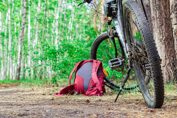 a lying hiking backpack lying next to a bicycle on the ground on a forest path in a coniferous...