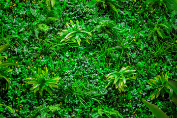 Natural vertical gardens within a green garden landscape