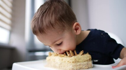 Adorable Caucasian baby boy bends to the cake and bites it. Kid waves his hands cheerfully as he chews the dessert. Low angle view.