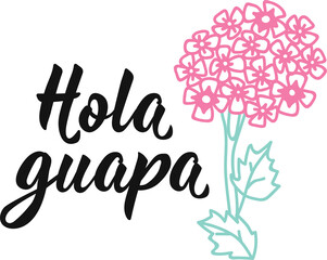 Hola guapa. Lettering. Translation from Spanish - Hello Beautiful. Element for flyers, banner and posters. Modern calligraphy © anngirna