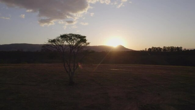 Balloonist flying in Serra da Canastra National Park