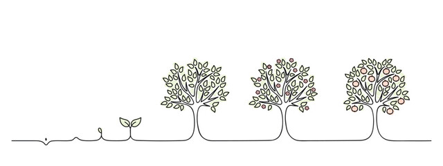 apple tree growth cycle, growing tree lineart, black line vector illustration, design element, grow a garden
