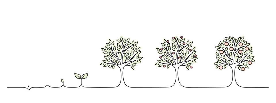 apple tree growth cycle, growing tree lineart, black line vector illustration, design element, grow a garden