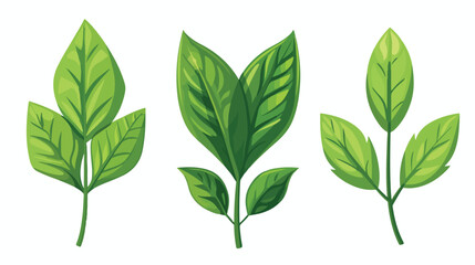 Leafs plant ecology icon vector illustration design