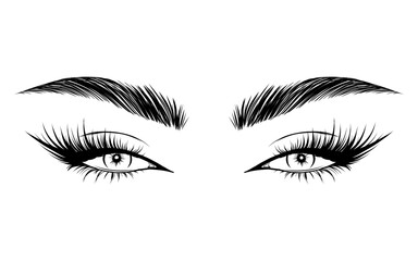 Vector Beautiful Female Eyes with Long Black Eyelashes and Brows close up. Makeup, beauty salon symbol. Woman Lashes - 743150731