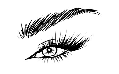 Vector Beautiful Female Eyes with Long Black Eyelashes and Brows close up. Makeup, beauty salon symbol. Woman Lashes - 743151387