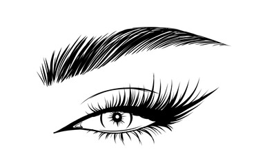 Vector Beautiful Female Eyes with Long Black Eyelashes and Brows close up. Makeup, beauty salon symbol. Woman Lashes - 743151534