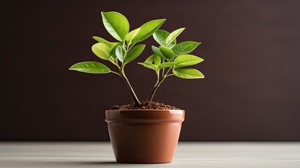 Plant in pot, generative Al