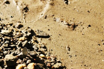 footprint in sand