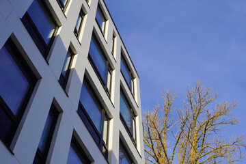 Close up of windows of the white facade of a new modern apartment building. Tree branches with no...
