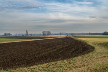 Felder in den Rheinauen in Hessen - 743188549