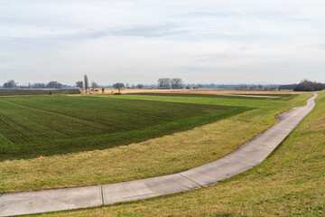 Felder in den Rheinauen in Hessen - 743188730