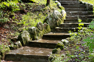 stone steps in the garden