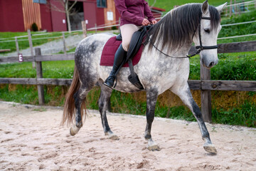 Unrecognizable Side perspective of a young rider on a white horse in a countryside sand arena.