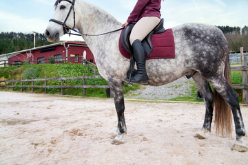 Unrecognizable Young female rider on a dappled white horse at a stable's sandy arena