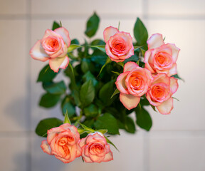 A bouquet of seven medium-sized light-colored roses with a dark pink border. Close-up, top view.