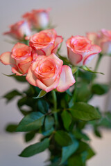 A bouquet of seven medium-sized light-colored roses with a dark pink border. Close-up.