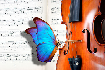 colorful tropical blue morpho butterfly on violin. beautiful antique violin and sheet music. melody...