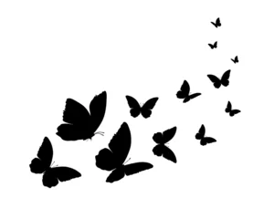 Abwaschbare Fototapete Schmetterlinge im Grunge butterflies silhouettes set