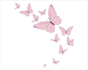 pink background with butterfly