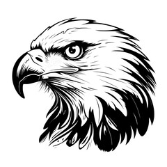 eagle head vector