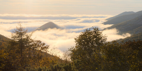 Beautiful mountain panoramic landscape. Top view of the mountain peaks in the clouds. Trees in the foreground. Autumn season. September. Travel and hiking in the wild. Picturesque northern nature.