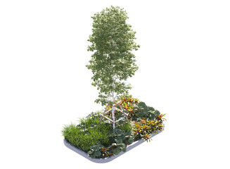 tree with tree support pole surrounded by grass bushes shrub and small plants isolated