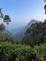 clouds over the mountains, Ella rock , Sri Lanka  - 743236703