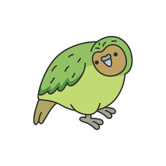 Cute Kakapo parrot isolated on white background. Vector illustration.