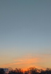 Morning Stillness