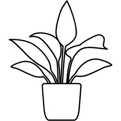 Peace Lily Icon