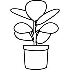 Prayer Plant Icon